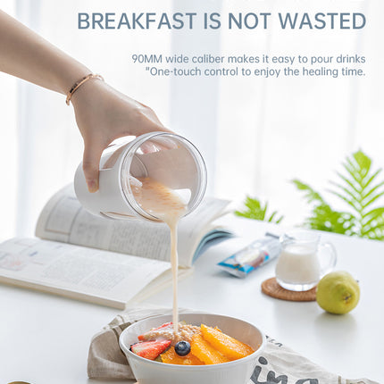 BlendGo Portable Blender