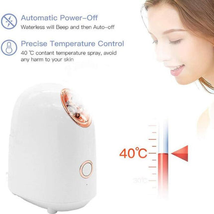 Facial Thermal Steam Skin Care Device