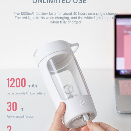 BlendGo Portable Blender
