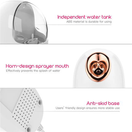 Facial Thermal Steam Skin Care Device
