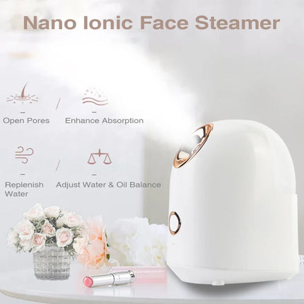 Facial Thermal Steam Skin Care Device